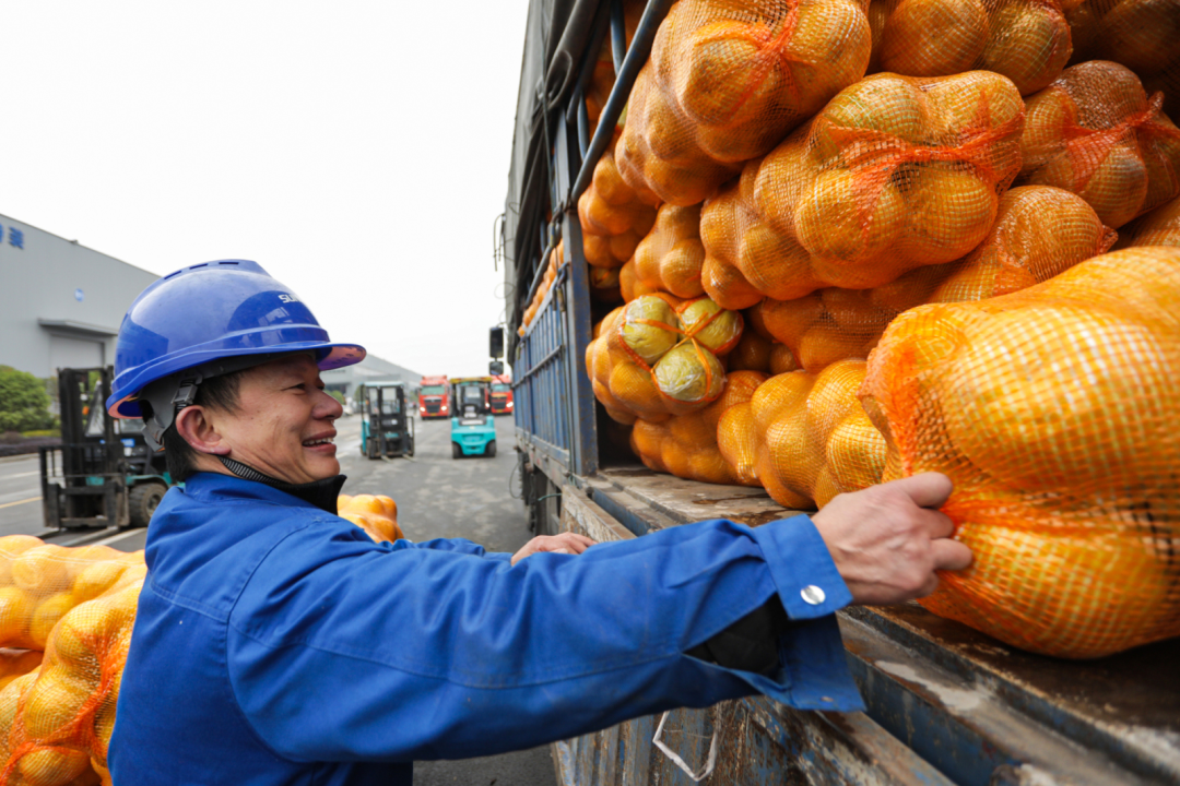 点赞！MG不朽情缘(中国区)官方网站智能成功入选“上市公司乡村振兴优秀实践案例”